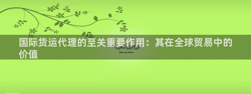 尊龙凯时人生就是博·(中国)：国际货运代理的至关重要作用