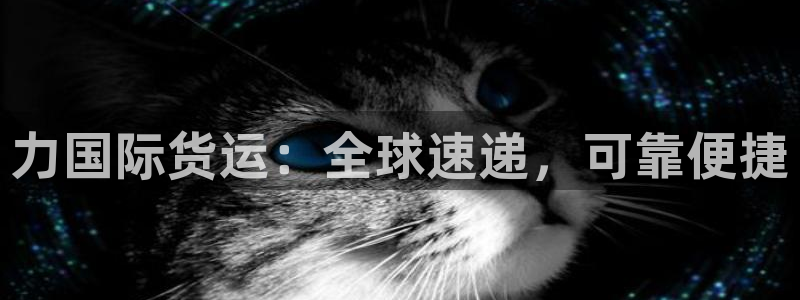 尊龙凯时平台官网：力国际货运：全球速递，可靠便捷