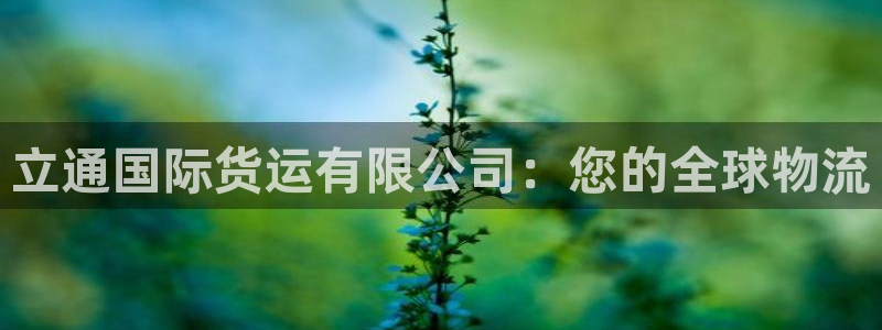 尊龙凯时人生就博：立通国际货运有限公司：您的全球物流