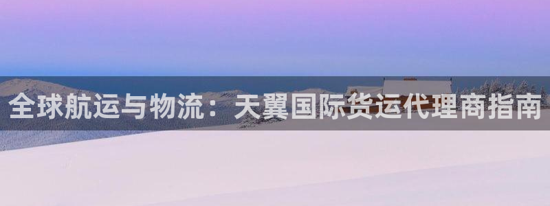尊龙体育电竞官网：全球航运与物流：天翼国际货运代理商指南