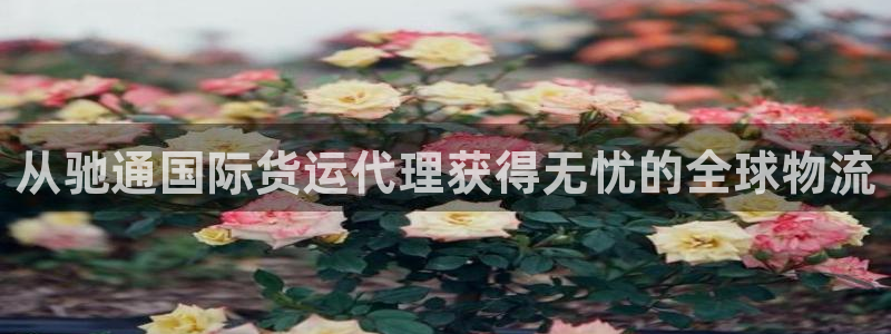 尊龙官方身高
