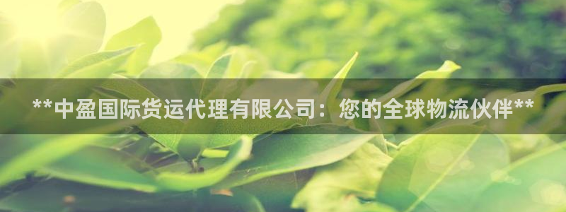 尊龙手机官方客户端下载：**中盈国际货运代理有限公司：您