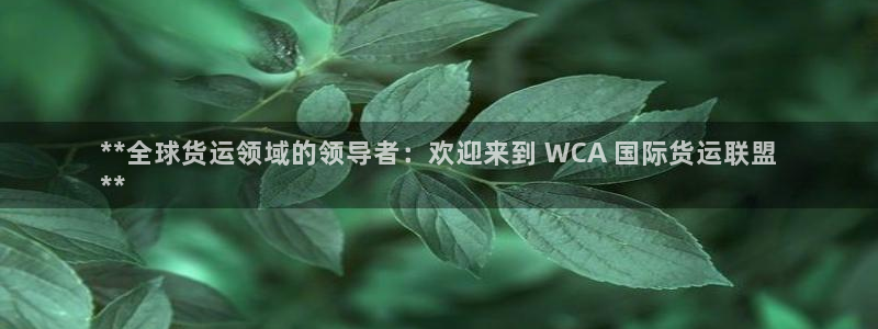 尊龙凯时企业文化