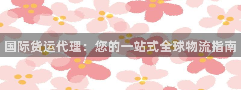 尊龙凯时城娱乐：国际货运代理：您的一站式全球物流指南