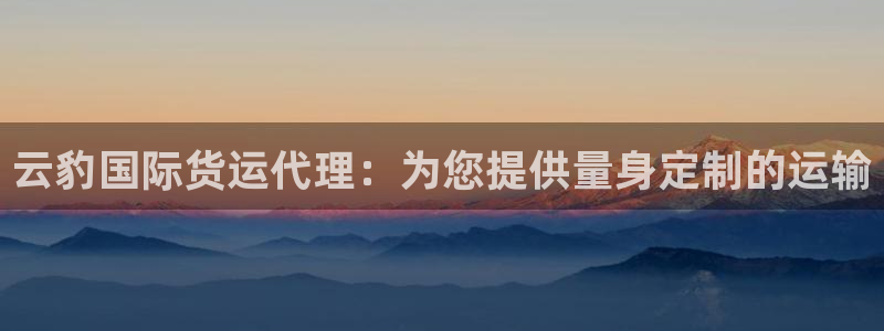 尊龙凯时输了100万：云豹国际货运代理：为您提供量身定制