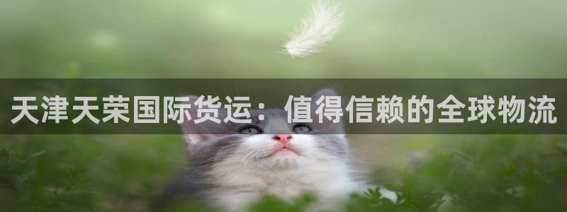 尊龙体育游戏平台：天津天荣国际货运：值得信赖的全球物流