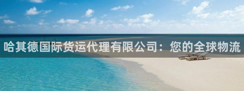 尊龙凯时几百万怎么下：哈其德国际货运代理有限公司：您的全