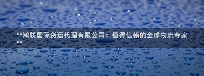 尊龙凯时老板是谁：**瀚联国际货运代理有限公司：值得信赖