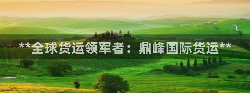 尊龙z6集团：**全球货运领军者：鼎峰国际货运**