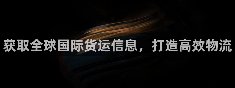尊龙 国外：获取全球国际货运信息，打造高效物流