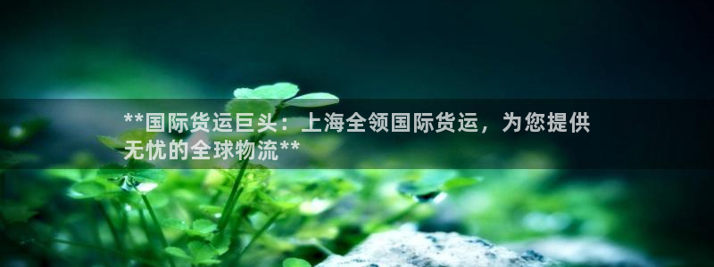 尊龙人生就是博AG旗舰厅：**国际货运巨头：上海全领国际