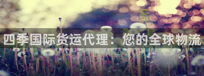 尊龙凯时人生就是博游戏网站：四季国际货运代理：您的全球物