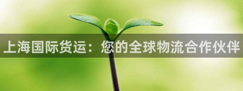 尊龙凯时人生就是搏z6com：上海国际货运：您的全球物流