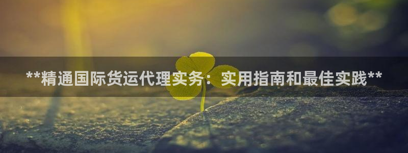 尊龙凯时ag旗舰厅登陆：**精通国际货运代理实务：实用指