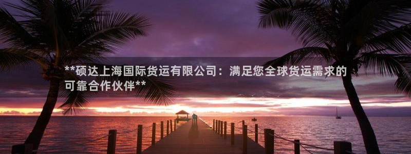 尊龙d88官网so问来就送38：**硕达上海国际货运有限