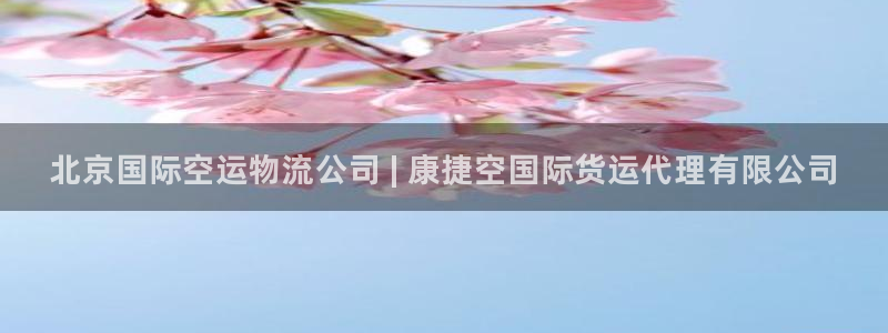尊龙凯时人生就博官网登录：北京国际空运物流公司 | 康捷
