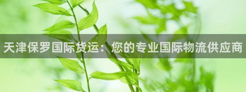 尊龙ag旗舰厅手机版：天津保罗国际货运：您的专业国际物流