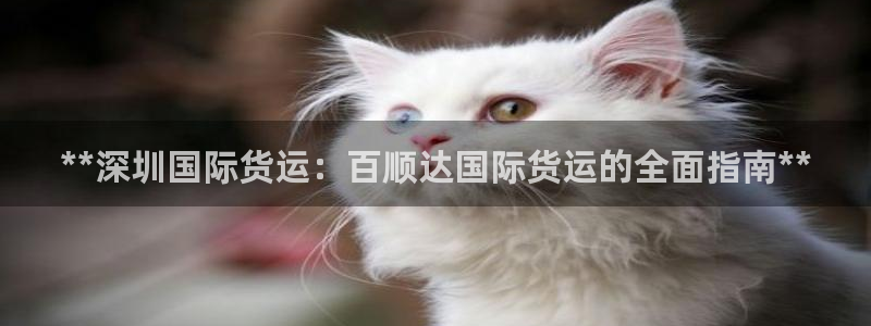 尊龙网站 人生就是博：**深圳国际货运：百顺达国际货运的