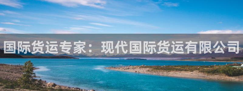 尊龙人生就是博管网：国际货运专家：现代国际货运有限公司