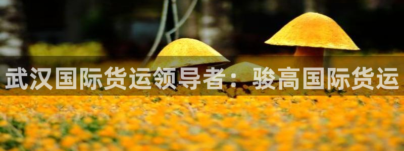 旧版尊龙人生就是博-ag旗舰平台尊龙|ag发财网来就送3