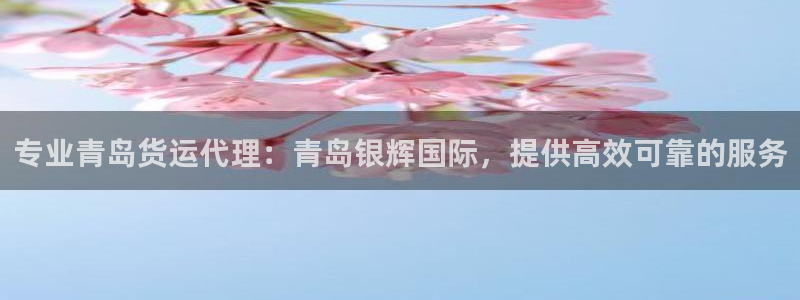 尊龙网站 人生就是博：专业青岛货运代理：青岛银辉国际，提