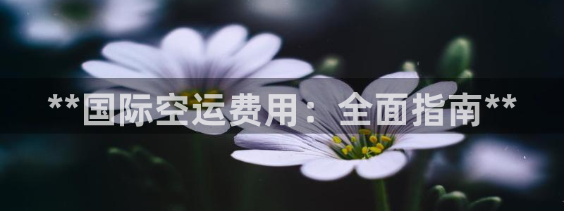 尊龙凯时人生就是搏 品牌专区：**国际空运费用：全面指南