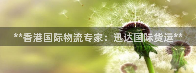 尊龙信息科技有限公司：**香港国际物流专家：迅达国际货运