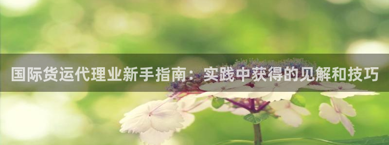 尊龙ag：国际货运代理业新手指南：实践中获得的见解和技巧