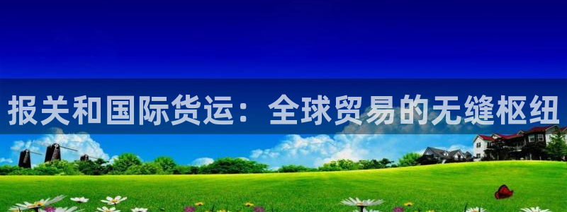 尊龙体育电竞官网：报关和国际货运：全球贸易的无缝枢纽