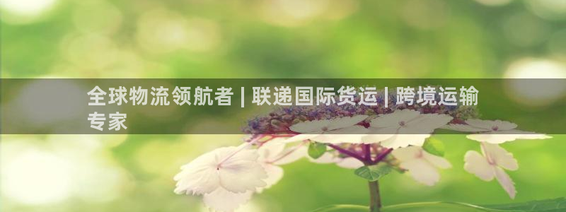 尊龙网址是多少：全球物流领航者 | 联递国际货运 | 跨