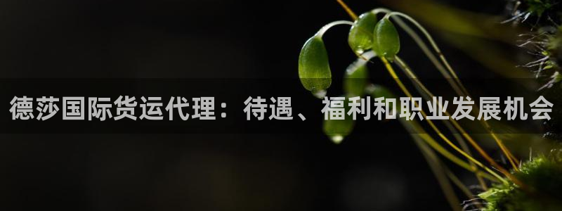 z6com尊龙凯时代理：德莎国际货运代理：待遇、福利和职