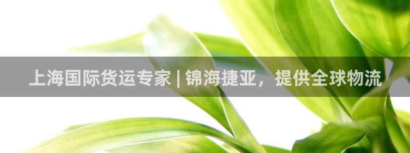 尊龙 am i blue：上海国际货运专家 | 锦海捷亚
