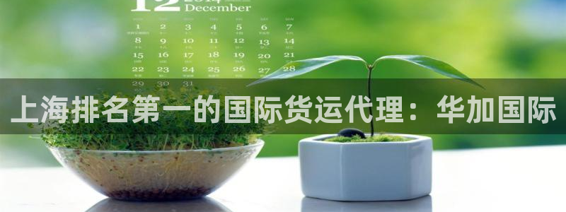 z6com尊龙：上海排名第一的国际货运代理：华加国际