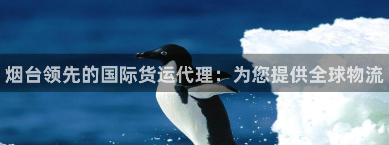 尊龙凯时的企业文化：烟台领先的国际货运代理：为您提供全球