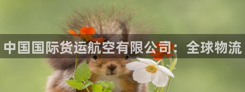 尊龙凯时ag旗舰厅登陆：中国国际货运航空有限公司：全球物