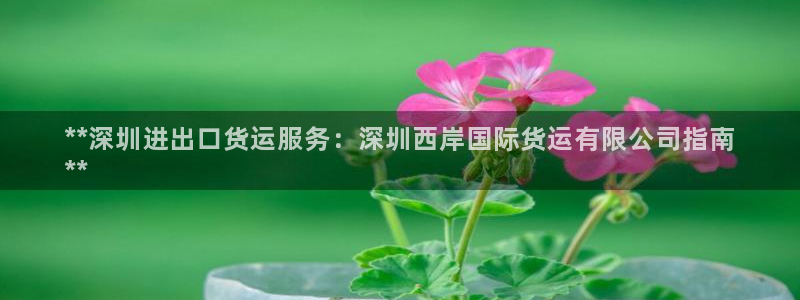 尊龙凯时泰安：**深圳进出口货运服务：深圳西岸国际货运有