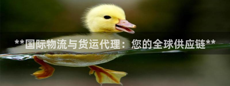 尊龙实业 吴友良：**国际物流与货运代理：您的全球供应链