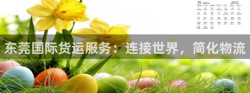 尊龙凯时麻将胡了：东莞国际货运服务：连接世界，简化物流