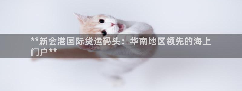 尊龙凯时取款一直支付中：**新会港国际货运码头：华南地区