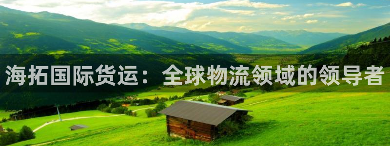 尊龙凯时为什么输了钱：海拓国际货运：全球物流领域的领导者