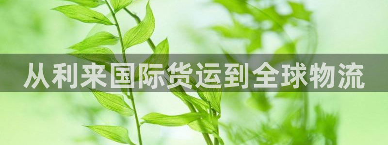 尊龙-人生就是博!：从利来国际货运到全球物流