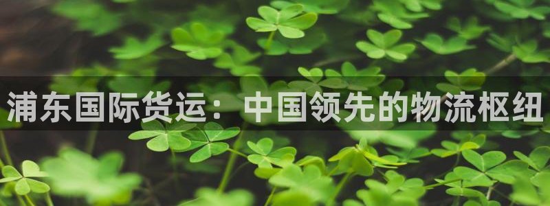 尊龙凯时是赌博嘛：浦东国际货运：中国领先的物流枢纽