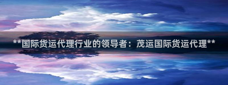 尊龙游戏官网：**国际货运代理行业的领导者：茂运国际货运