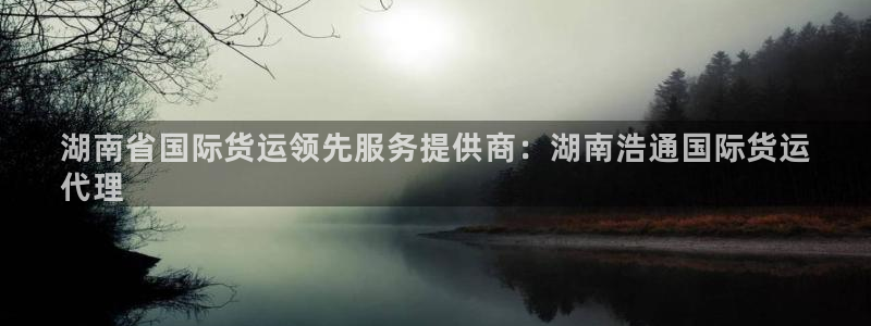尊龙网站 人生就是博：湖南省国际货运领先服务提供商：湖南