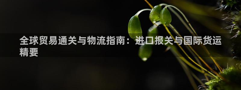 尊龙物流怎么样：全球贸易通关与物流指南：进口报关与国际货