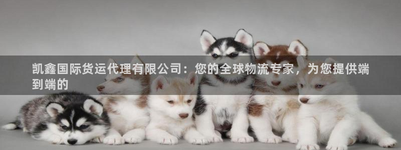 尊龙人生就是博网站下载：凯鑫国际货运代理有限公司：您的全