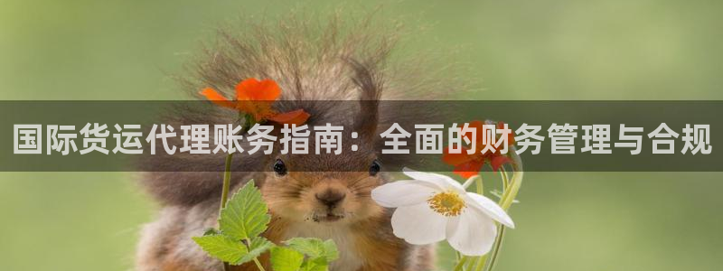 尊龙旗舰厅：国际货运代理账务指南：全面的财务管理与合规