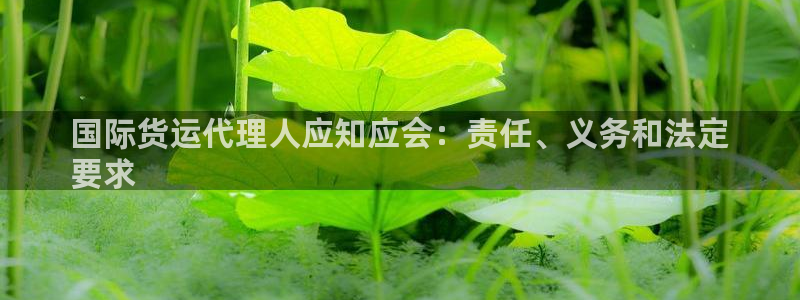 尊龙凯时代理：国际货运代理人应知应会：责任、义务和法定
