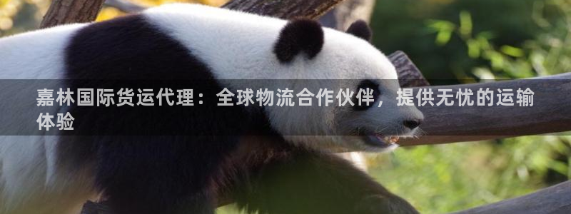尊龙凯时人生就是博·(中国)官网