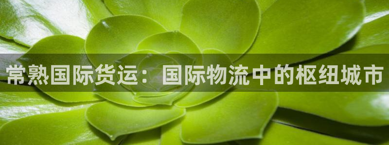 尊龙凯时人生就是搏!平台